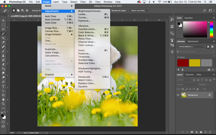 Screen Shot 2017-10-15 at 7.04.42 PM.png