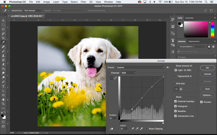 Screen Shot 2017-10-15 at 7.06.16 PM.png
