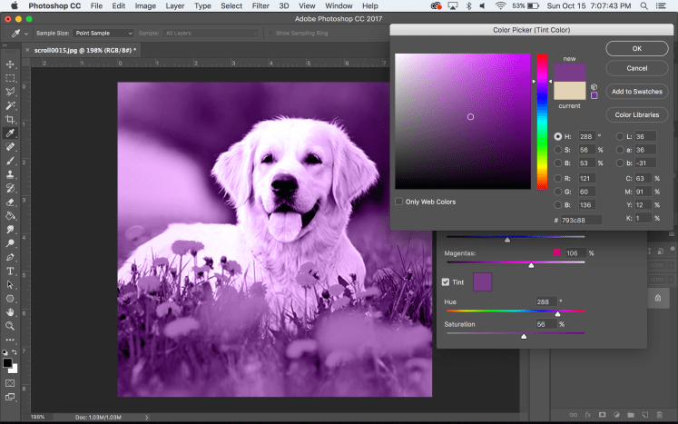 Screen Shot 2017-10-15 at 7.07.43 PM